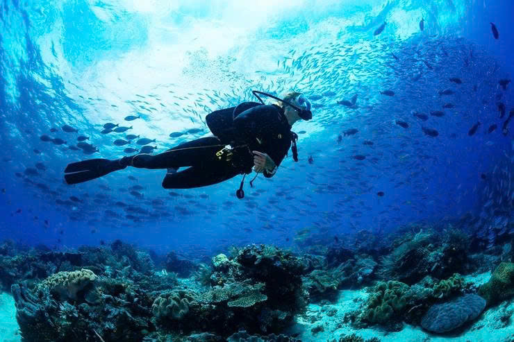 Đi bộ dưới biển tại Bãi Tranh